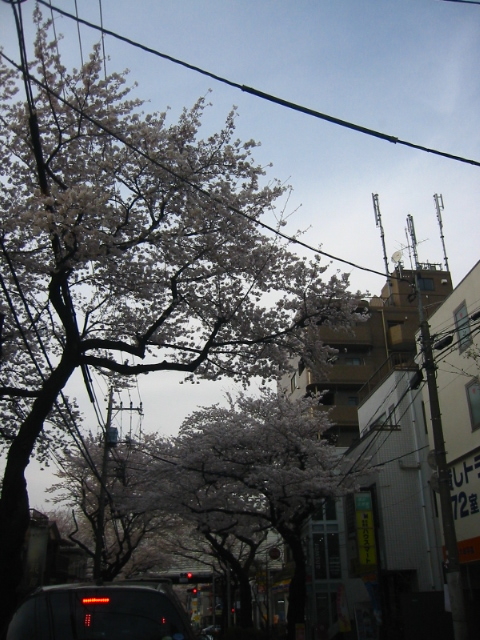 f:id:hateruna-yan:20210328232310j:plain
