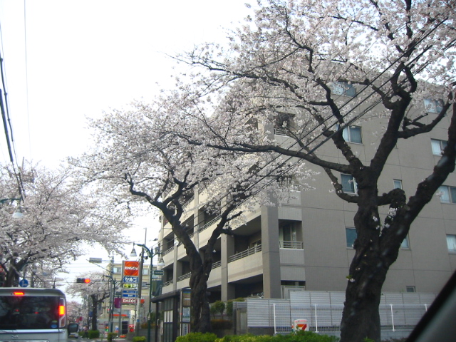 f:id:hateruna-yan:20210328232338j:plain