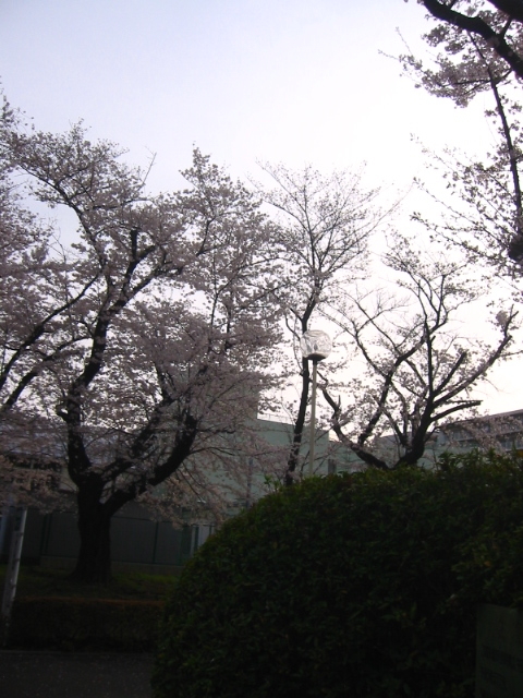 f:id:hateruna-yan:20210328232418j:plain