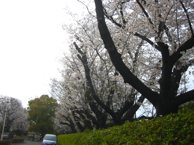 f:id:hateruna-yan:20210328232525j:plain