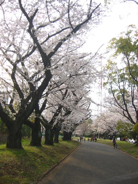 f:id:hateruna-yan:20210328232555j:plain