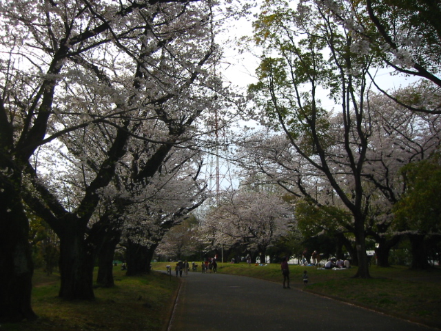 f:id:hateruna-yan:20210328232803j:plain