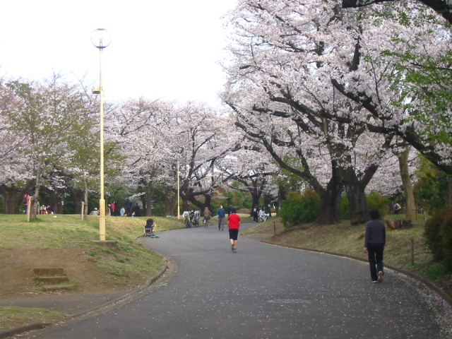 f:id:hateruna-yan:20210328233229j:plain