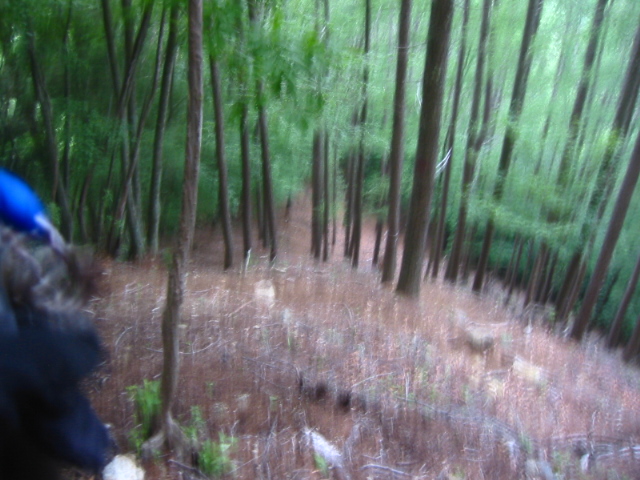 f:id:hateruna-yan:20210331220524j:plain
