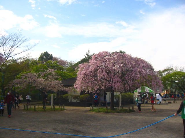 f:id:hateruna-yan:20210404232044j:plain