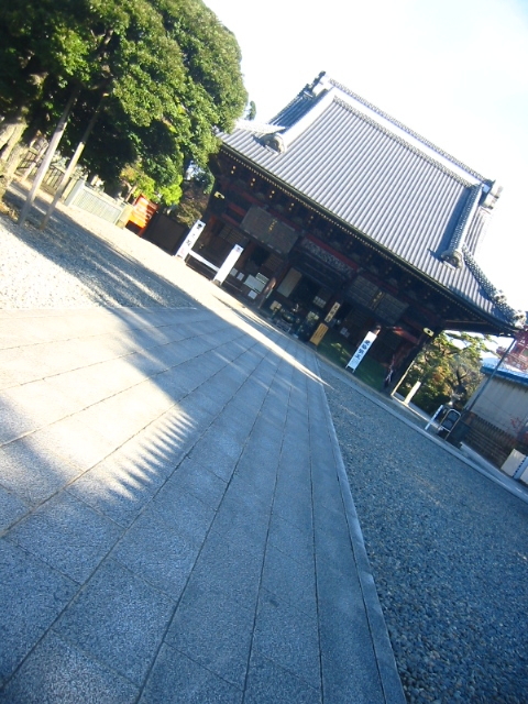 f:id:hateruna-yan:20211209215544j:plain