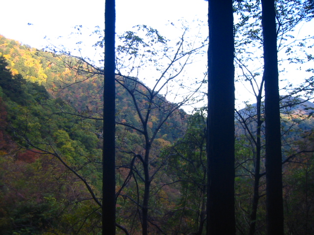 f:id:hateruna-yan:20220111200020j:plain