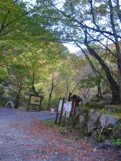 f:id:hateruna-yan:20220111200125j:plain