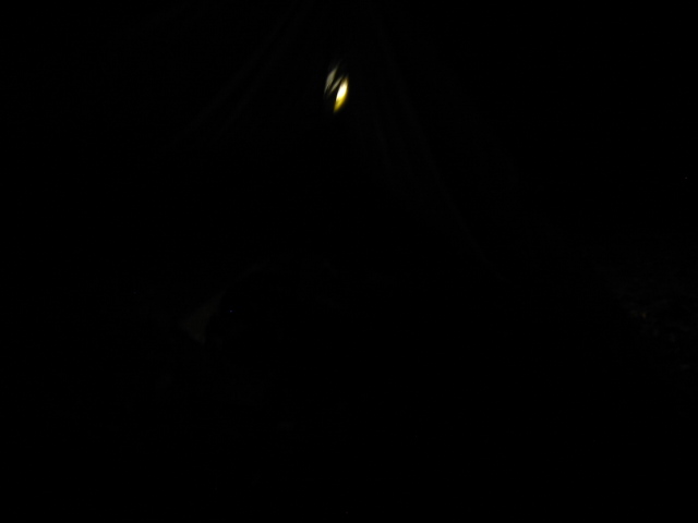 f:id:hateruna-yan:20220130224224j:plain