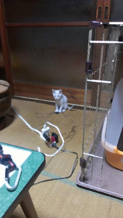 f:id:hatesatedoshiyo:20121126132530j:image:w360