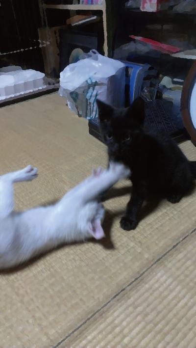 f:id:hatesatedoshiyo:20121126132533j:image:w360