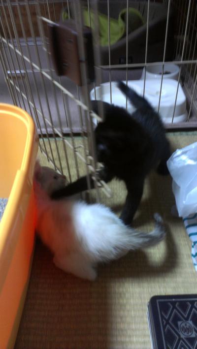 f:id:hatesatedoshiyo:20121126132535j:image:w360