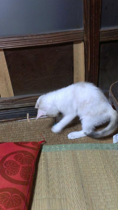 f:id:hatesatedoshiyo:20121126132536j:image:w360