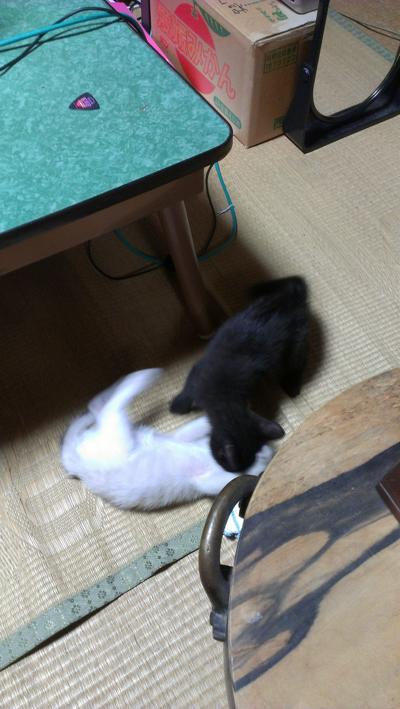 f:id:hatesatedoshiyo:20121126132538j:image:w360
