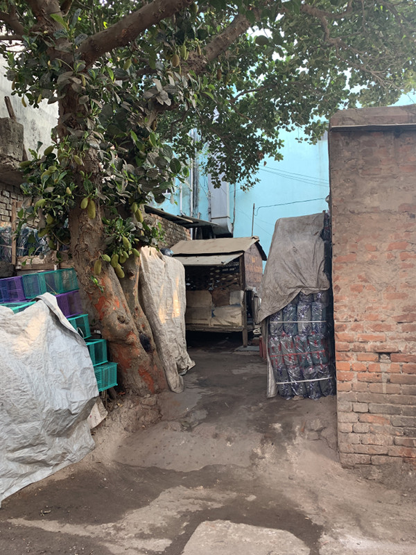 f:id:hatesatekite:20190223014539j:plain f:id:hatesatekite:20190223014539j:plain