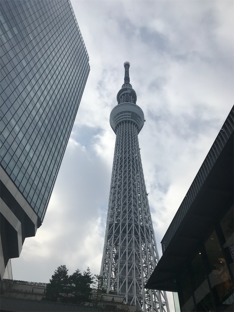 f:id:hathaty:20190115204208j:image