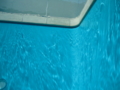 f:id:hati-hati:20110706131320j:image:medium:left