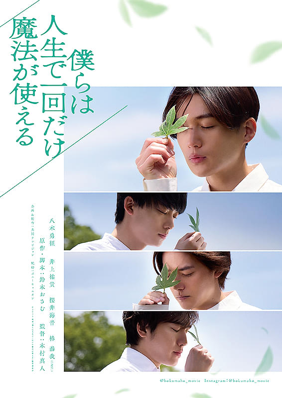 04月13日、櫻井海音(2025) - ぴくちゃあ通信