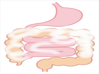 f:id:hatikinkun:20201019220428j:plain f:id:hatikinkun:20201019220428j:plain