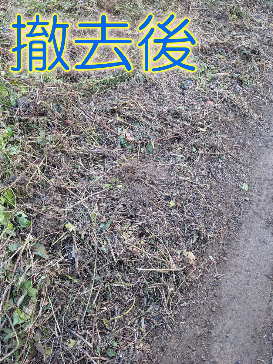 f:id:hatikinkun:20201126111944j:plain