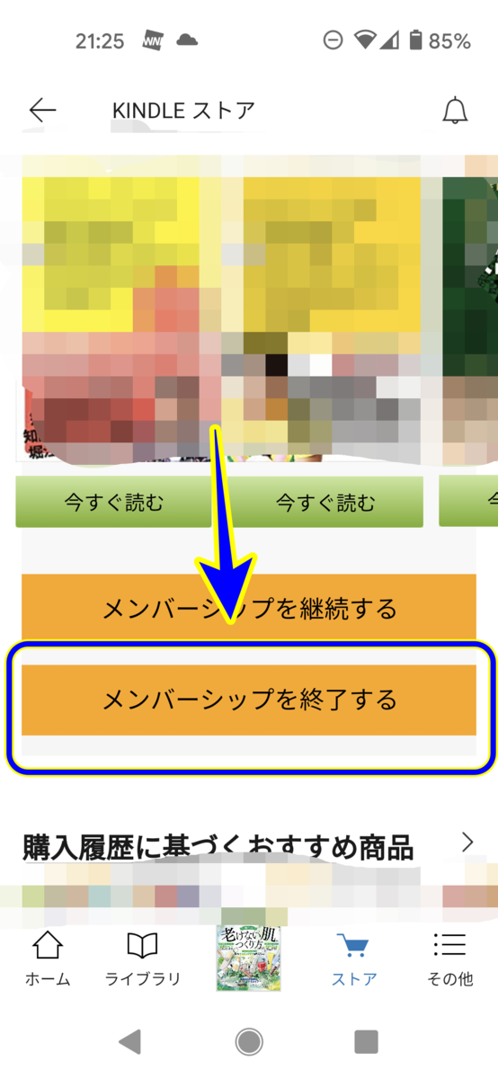 f:id:hatikinkun:20201130221632p:plain