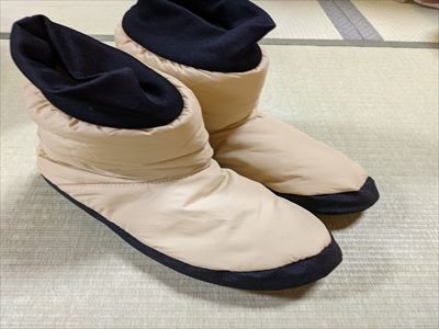 f:id:hatikinkun:20201225165553j:plain
