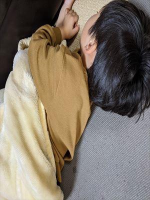 f:id:hatikinkun:20201226185122j:plain