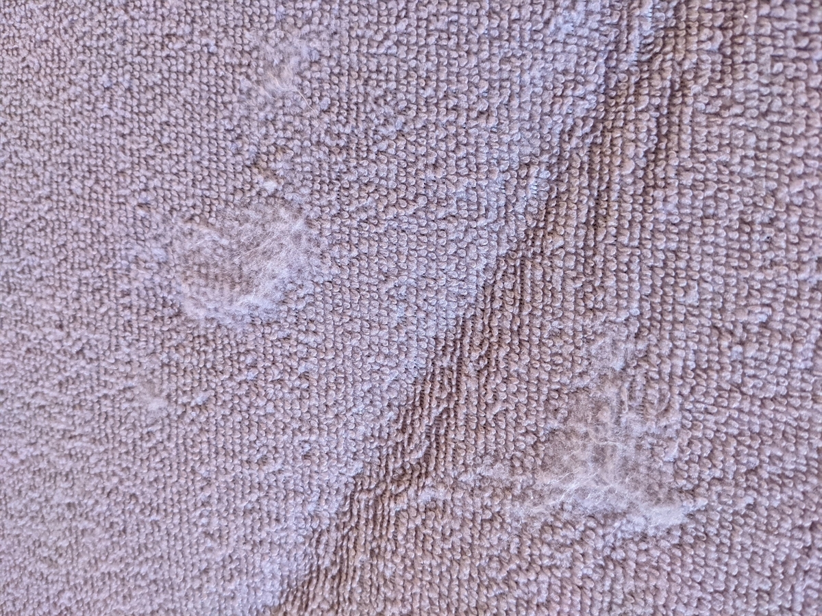 f:id:hatikinkun:20210301112130j:plain