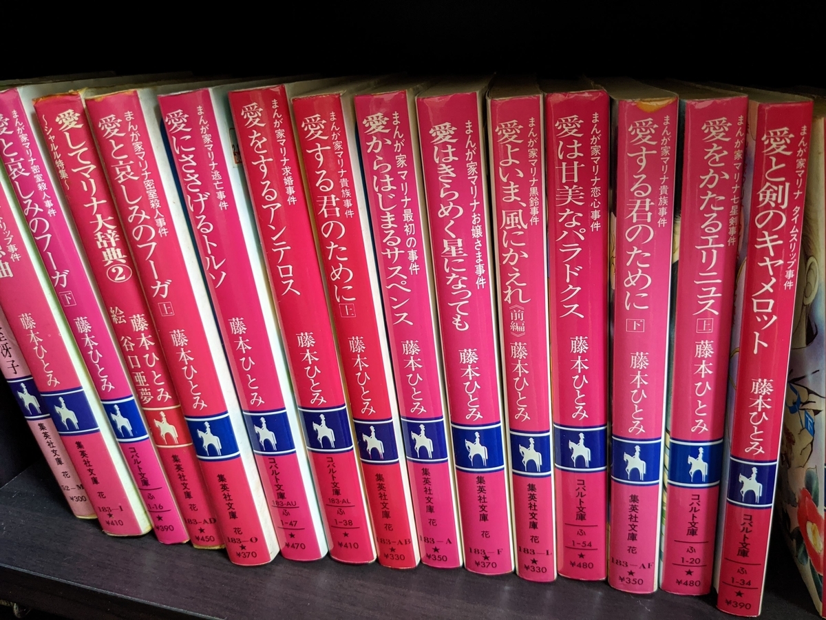 f:id:hatikinkun:20210422174910j:plain