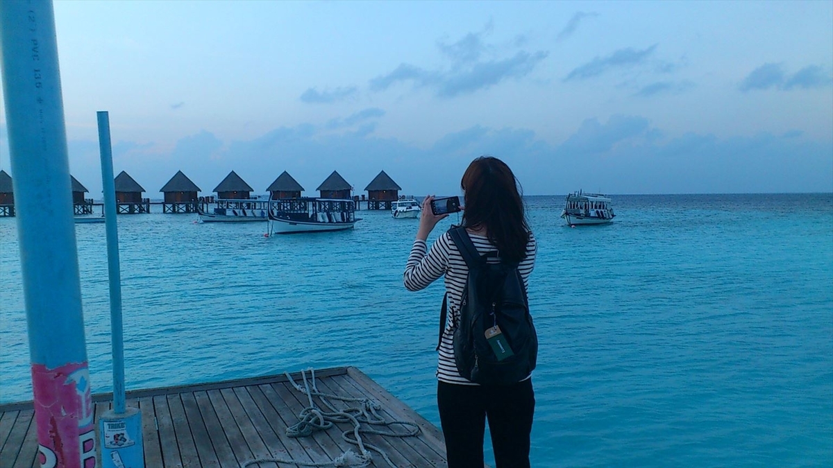 f:id:hatikinkun:20210422185753j:plain