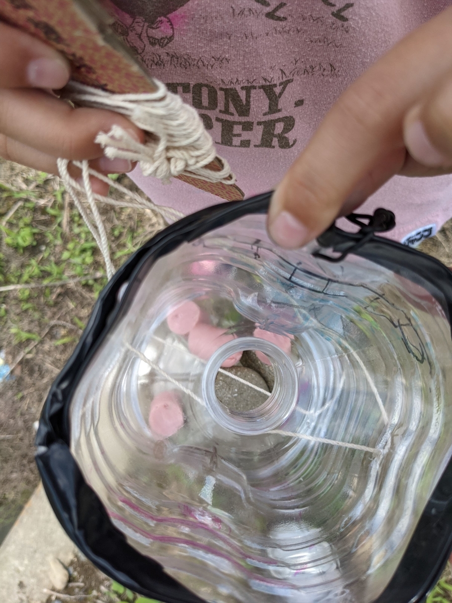 f:id:hatikinkun:20210604115335j:plain