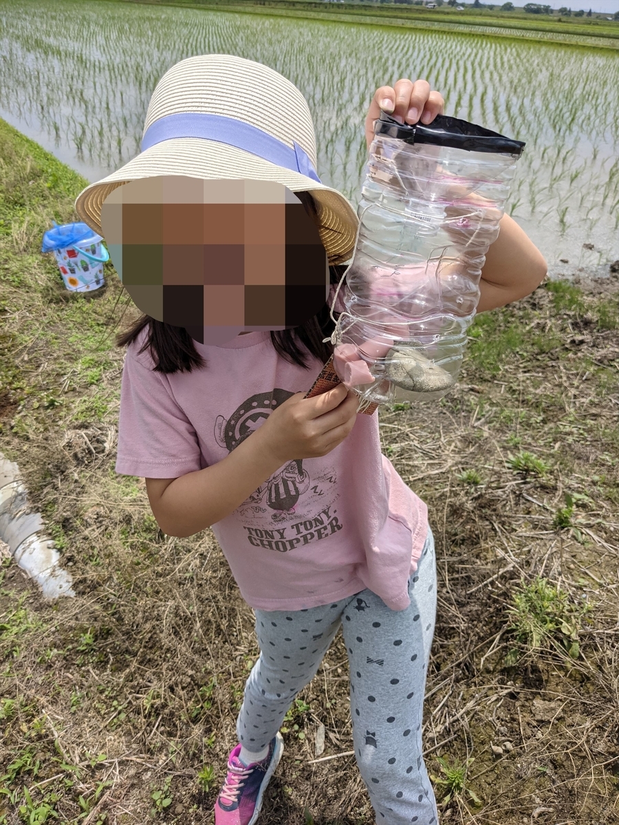 f:id:hatikinkun:20210604115357j:plain