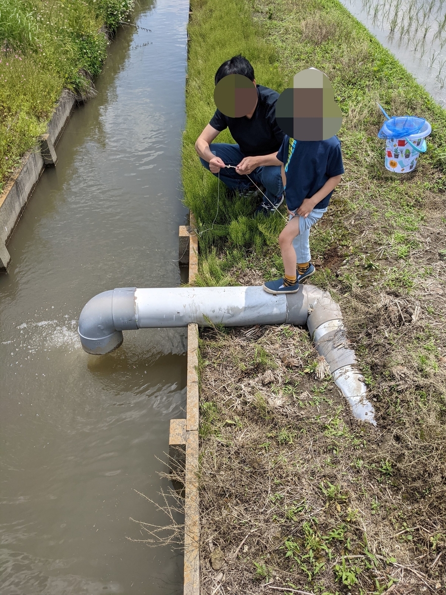 f:id:hatikinkun:20210604115417j:plain