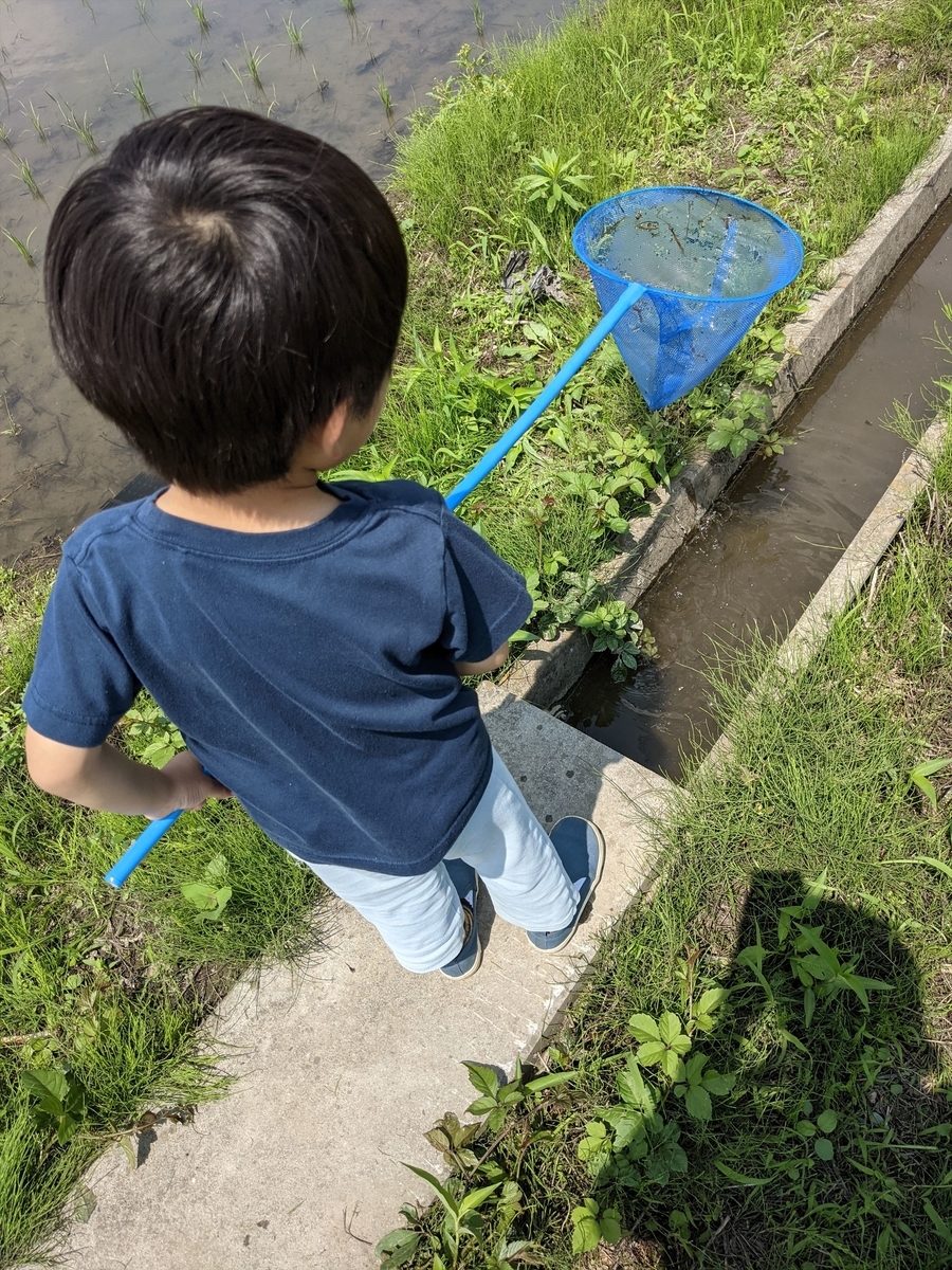 f:id:hatikinkun:20210604115531j:plain