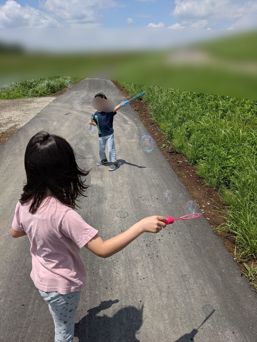 f:id:hatikinkun:20210604115607j:plain