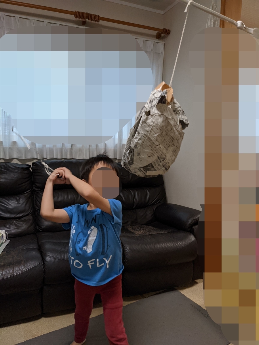 f:id:hatikinkun:20210607223242j:plain