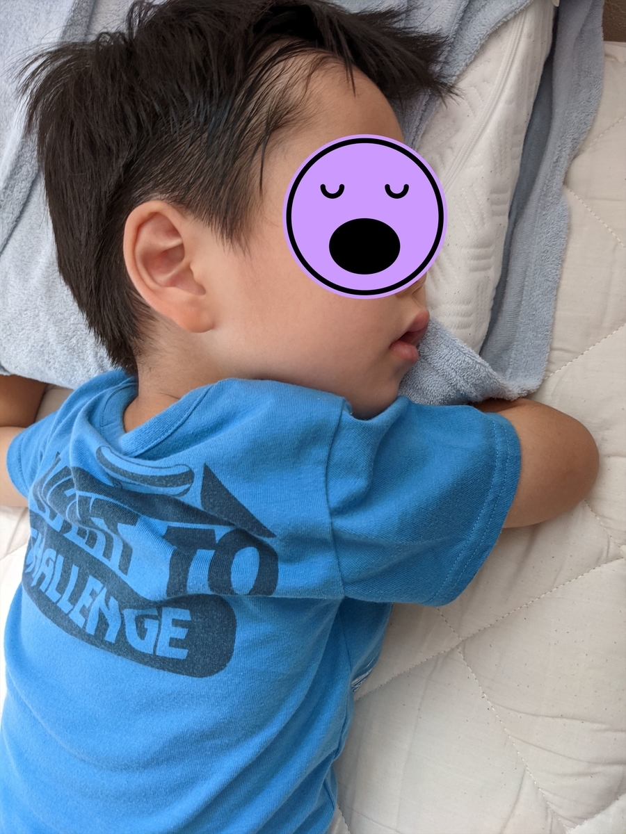 f:id:hatikinkun:20210607224245j:plain