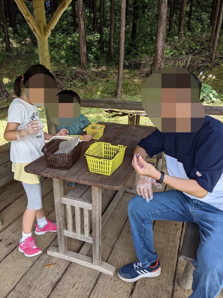 f:id:hatikinkun:20210802165851j:plain