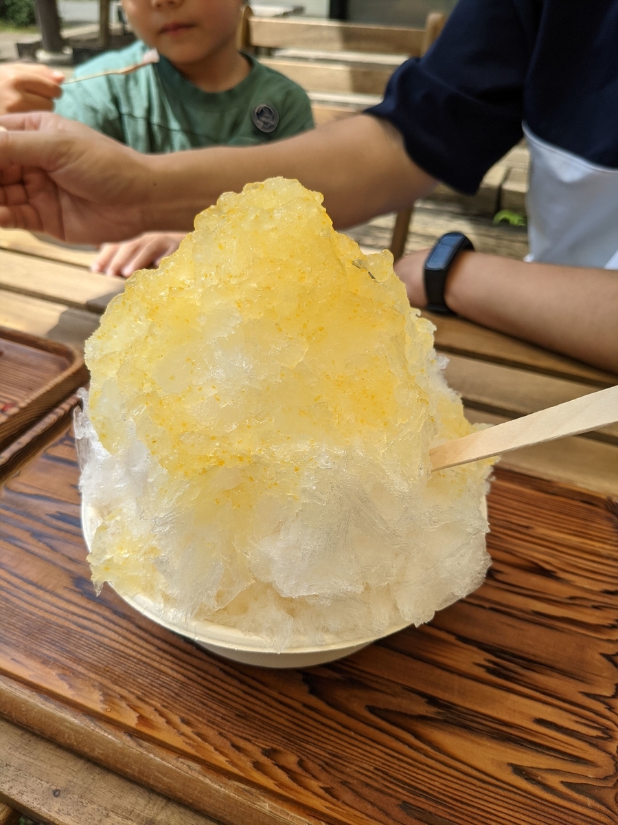 f:id:hatikinkun:20210802170041j:plain