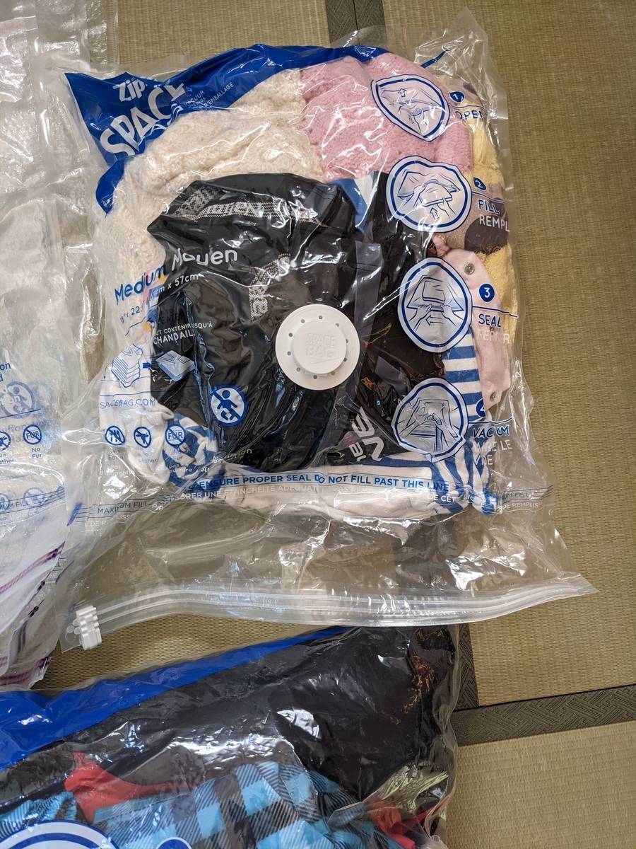 f:id:hatikinkun:20211020111936j:plain