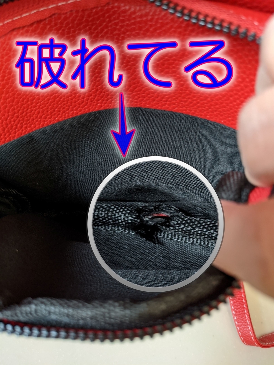 f:id:hatikinkun:20211102101810j:plain