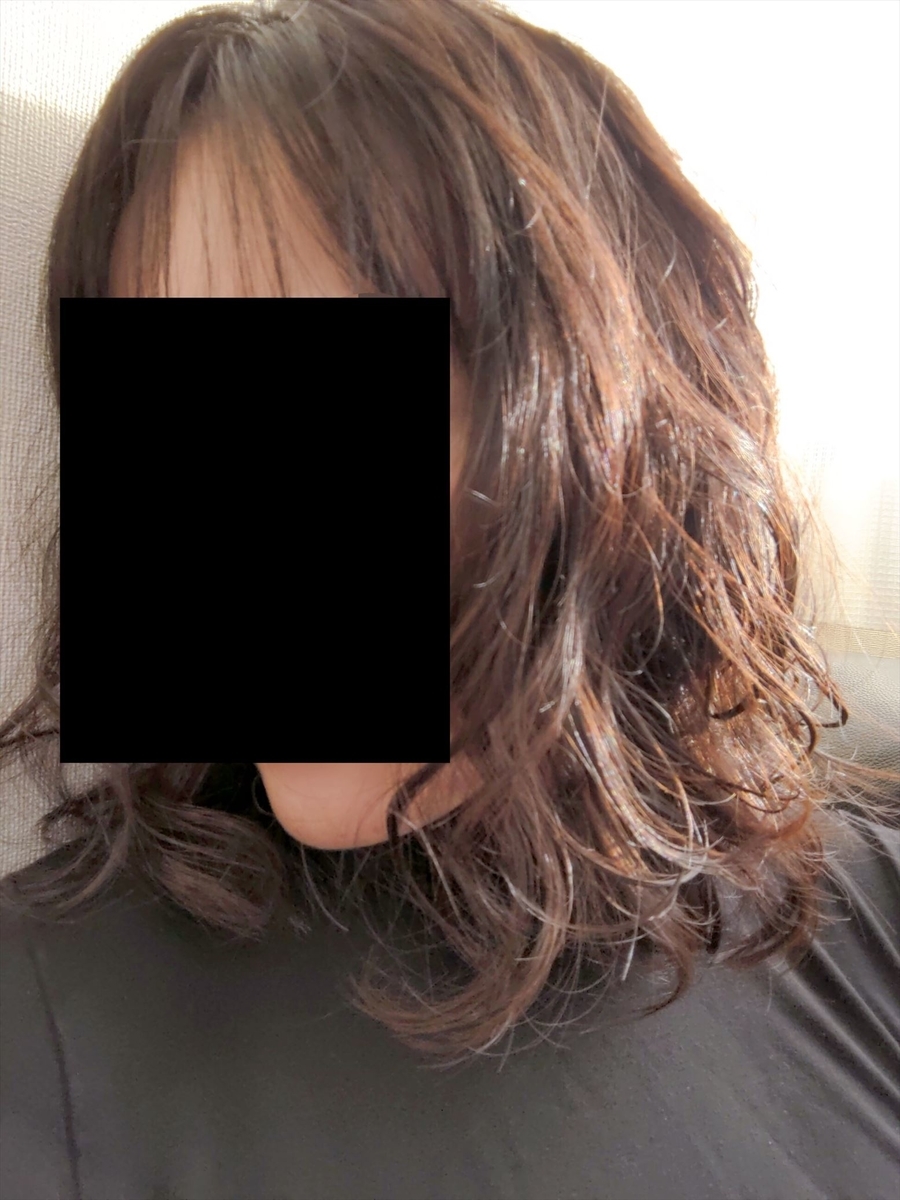 f:id:hatikinkun:20211123172717j:plain