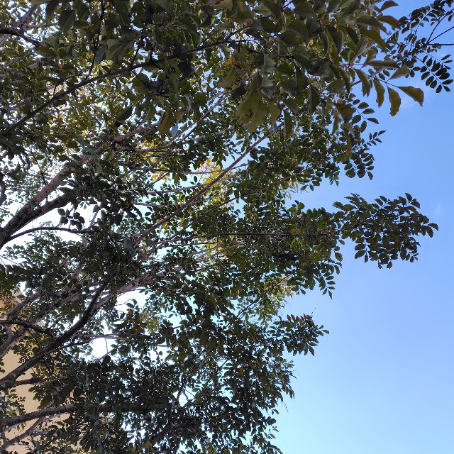 f:id:hatimitu-m03:20250319172937j:image