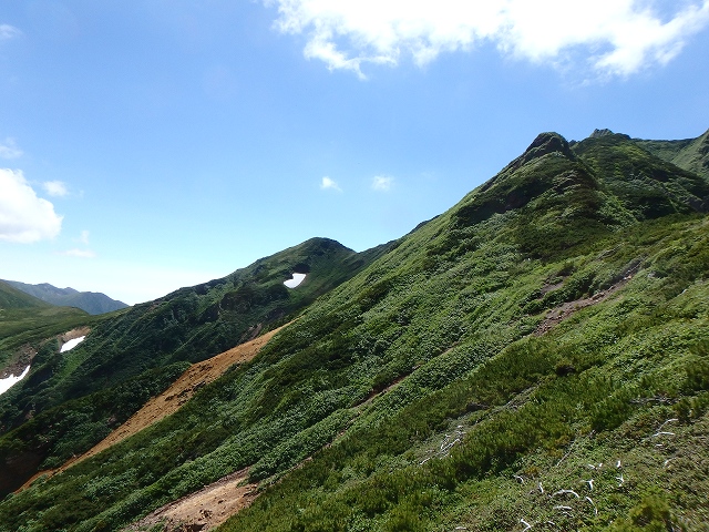 f:id:hatinoyado8:20160725220050j:plain