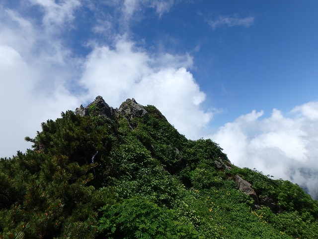 f:id:hatinoyado8:20160725220120j:plain