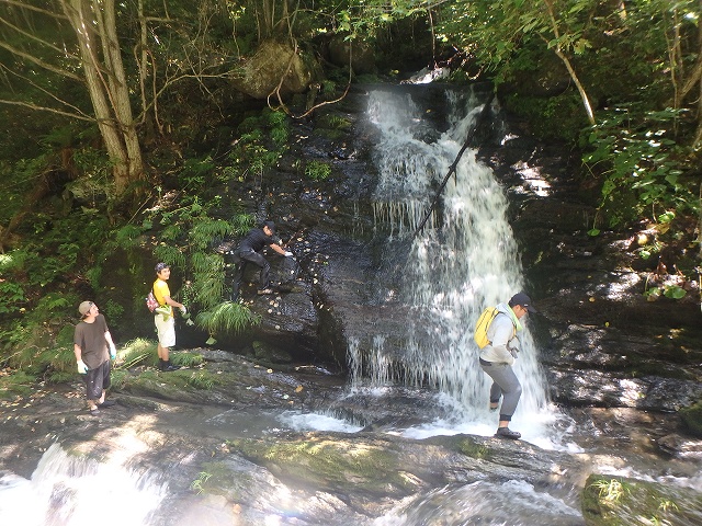 f:id:hatinoyado8:20160807204939j:plain f:id:hatinoyado8:20160807204939j:plain