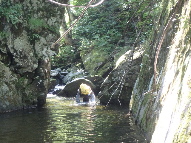 f:id:hatinoyado8:20160807205120j:plain f:id:hatinoyado8:20160807205120j:plain