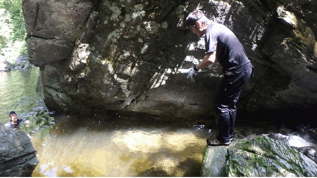 f:id:hatinoyado8:20160807214839g:plain f:id:hatinoyado8:20160807214839g:plain