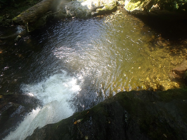 f:id:hatinoyado8:20160807215347j:plain f:id:hatinoyado8:20160807215347j:plain