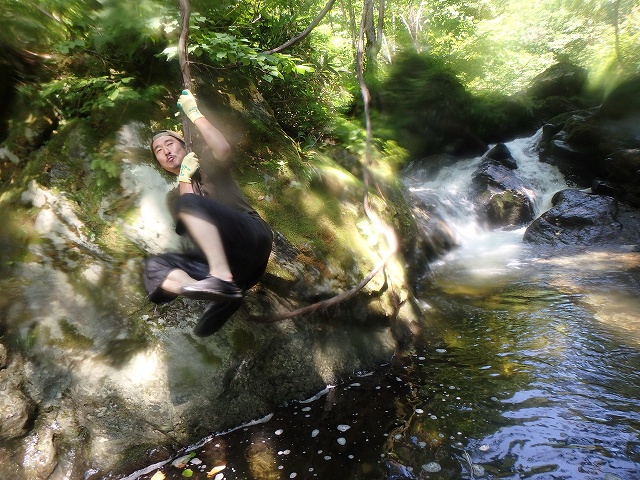 f:id:hatinoyado8:20160807215442j:plain f:id:hatinoyado8:20160807215442j:plain